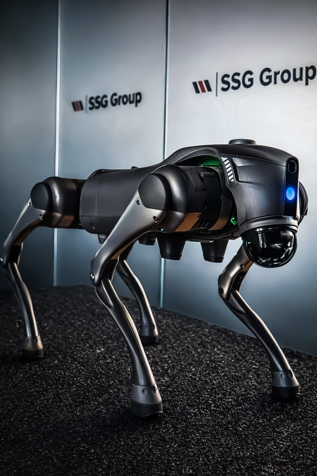 SSG-Group-Patruped-Robot